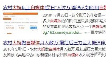 CVV2信用卡盗刷 与 垂直领域暗网的赚钱思路