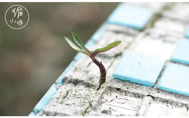 年薪百萬清華男38歲被離職，讓我認清了這3個現實 職場 第5張