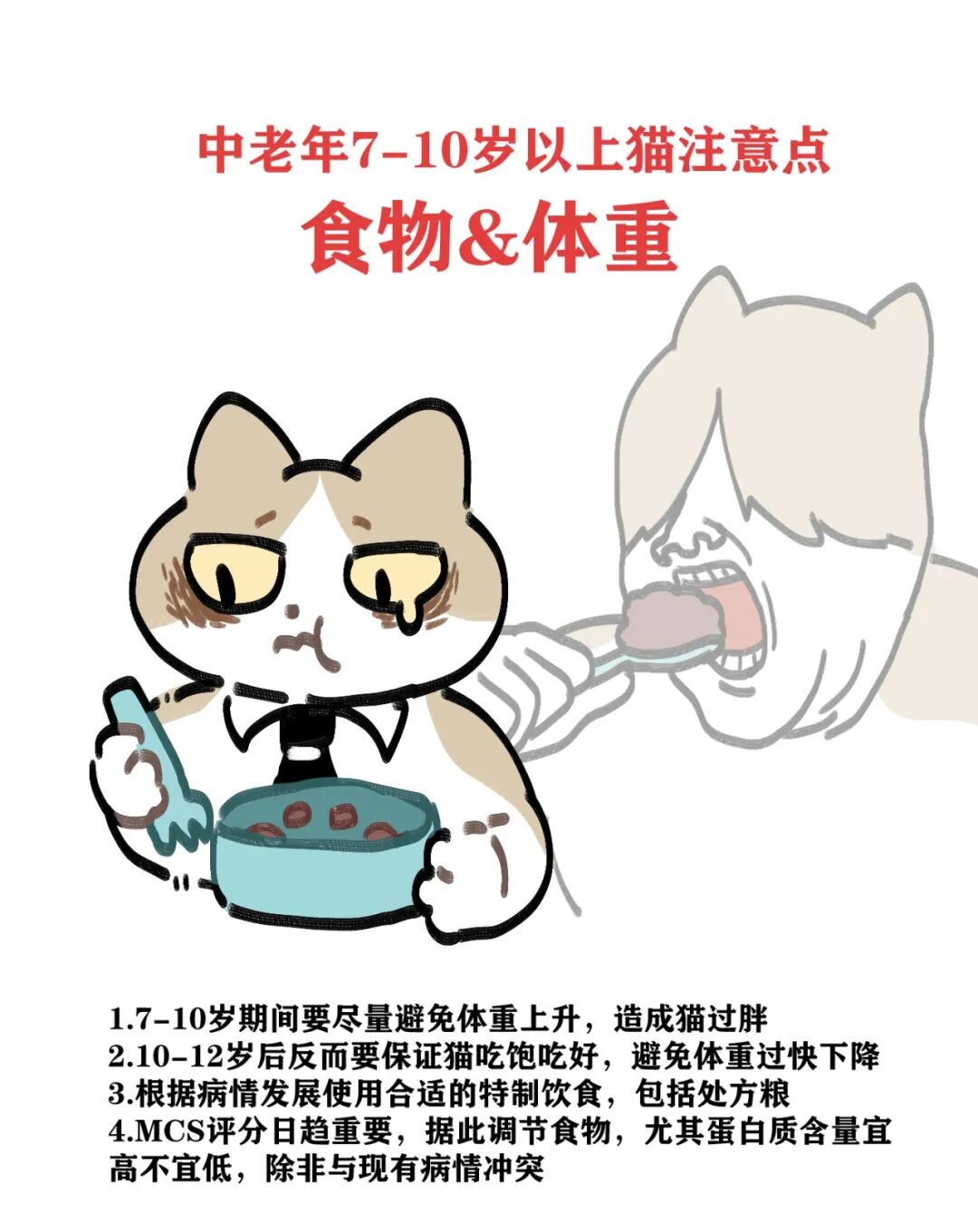 猫每个年龄段该注意哪些？如何体检事倍功半？ - RawMeat - 微信公众号 