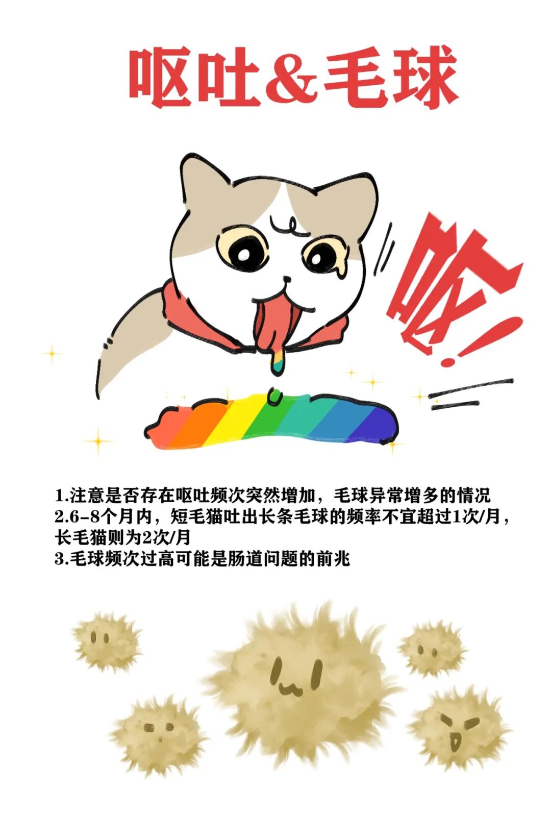 猫每个年龄段该注意哪些？如何体检事倍功半？ - RawMeat - 微信公众号 