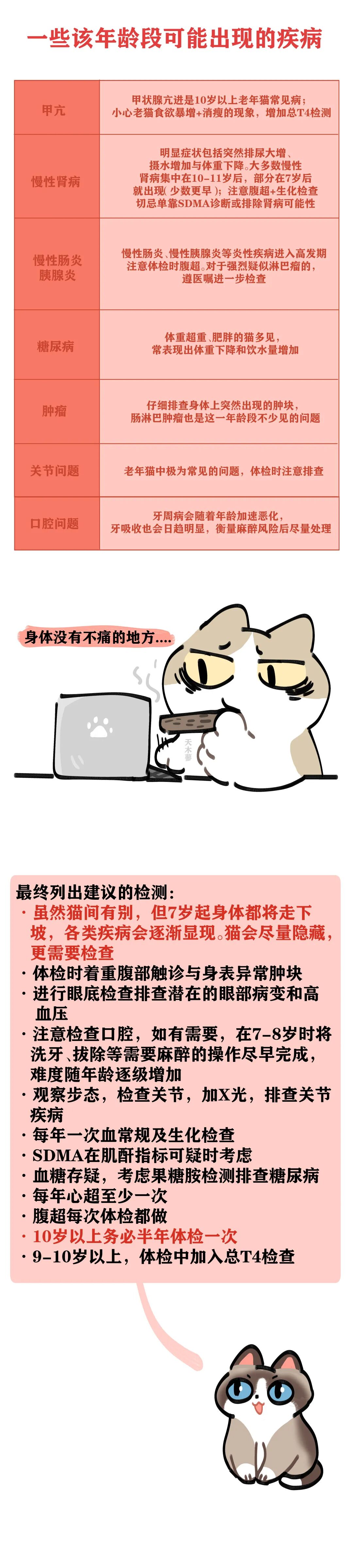 猫每个年龄段该注意哪些？如何体检事倍功半？ - RawMeat - 微信公众号 
