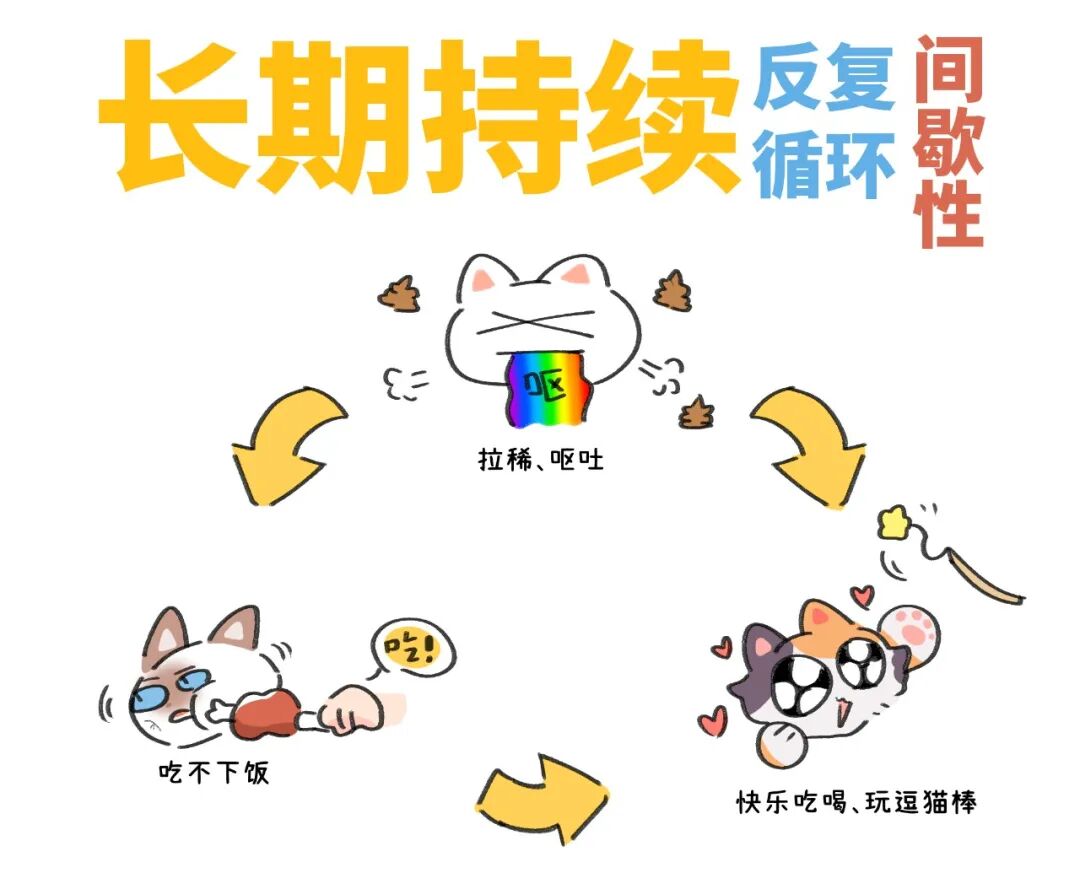 长期腹泻呕吐，只是玻璃胃？不，也许是IBD！ - RawMeat - 微信公众号 