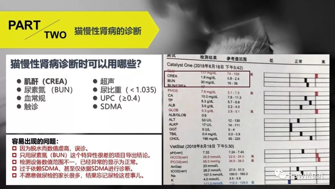 猫慢性肾衰科普直播(上）回放及课件- RawMeat  微信公众号文章阅读- WeMP
