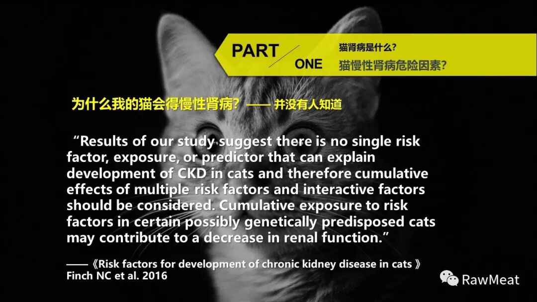 猫慢性肾衰科普直播(上）回放及课件- RawMeat  微信公众号文章阅读- WeMP