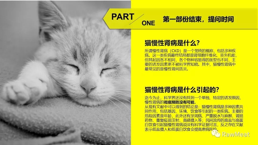 猫慢性肾衰科普直播(上）回放及课件- RawMeat  微信公众号文章阅读- WeMP