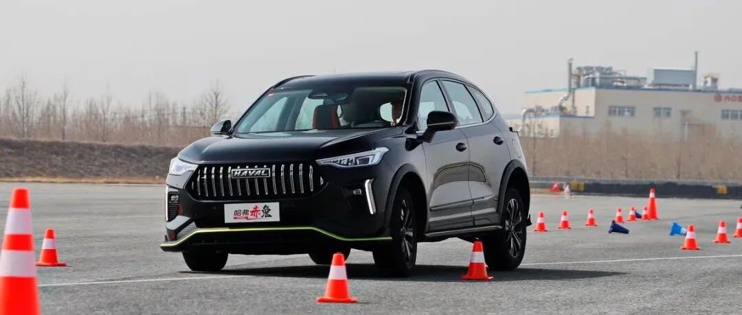 车主提车分享：哈弗赤兔千里奔赴，车小蜂销售使尽浑身解数