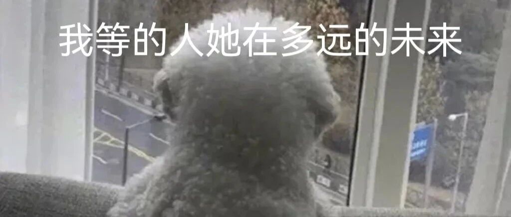 除了宏光MINI，还有谁能在情人节打动女孩的心？