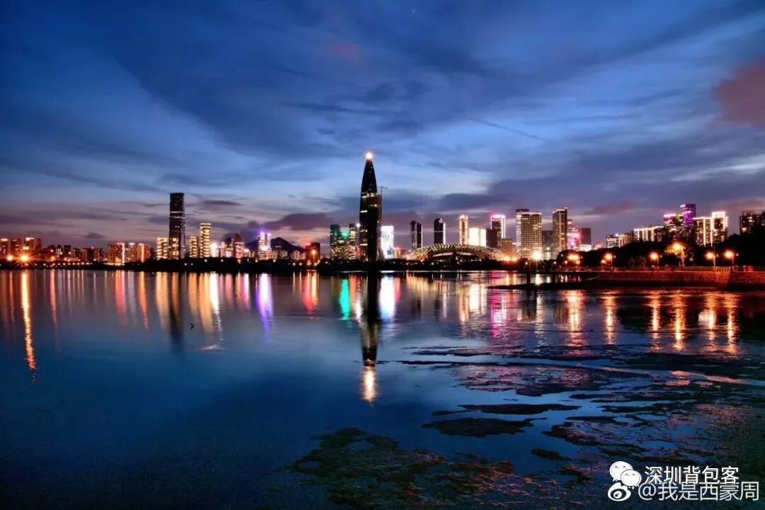 周三夜徒 深圳湾公园 海景夜徒减肉计划 深圳背包客联盟 微信公众号文章阅读 Wemp