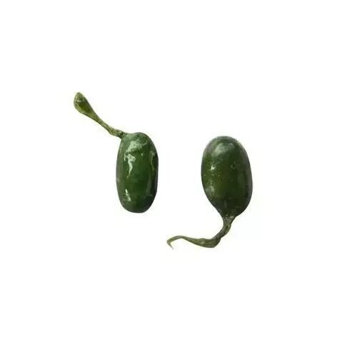 三蛇胆川贝糖浆