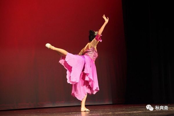 山菊花 文学城博客