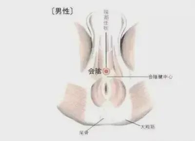 怎么 收 会阴《针灸甲乙经》之会阴穴_https://www.jmylbn.com_新闻资讯_第1张