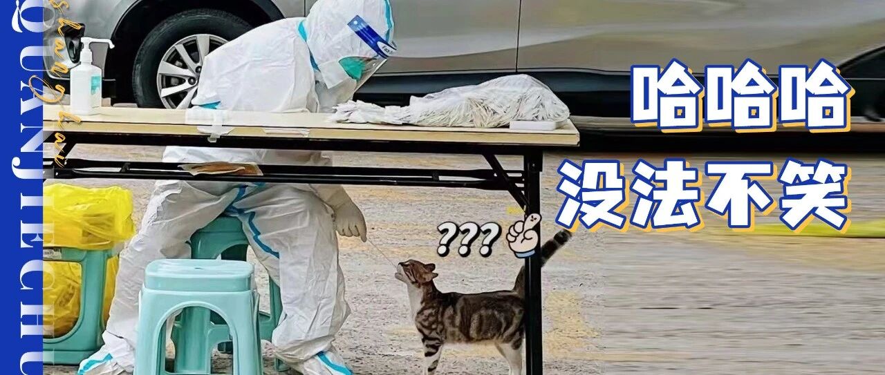 “姐疯了”不是“解封了” ! 我已笑疯在上海人的魔幻朋友圈里...