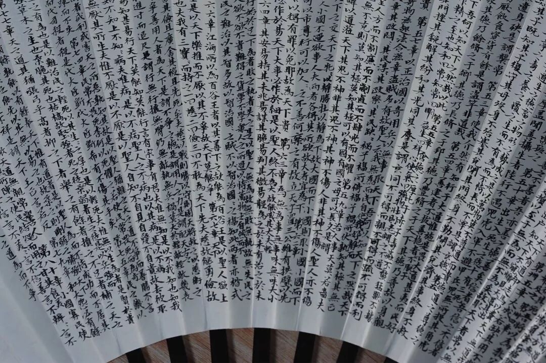 颜玉利■颜玉利书法欣赏：小楷折扇《道德经》