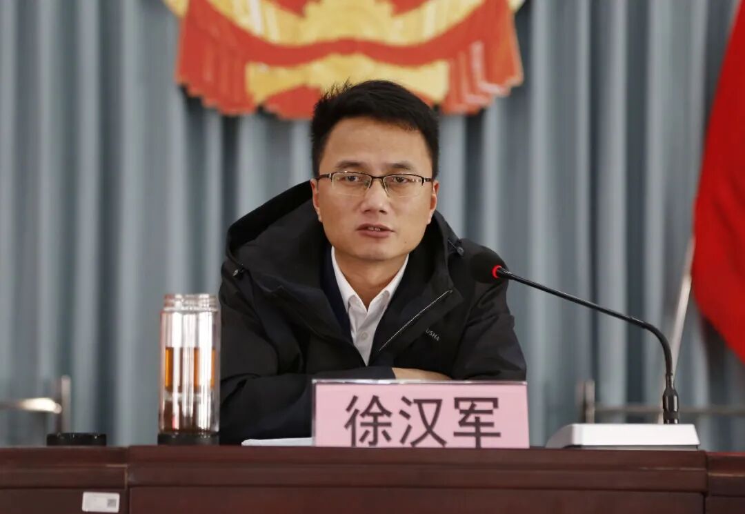 镇党委副书记,镇长徐汉军,相关镇领导班子成员,各村(社)书记,治保主任