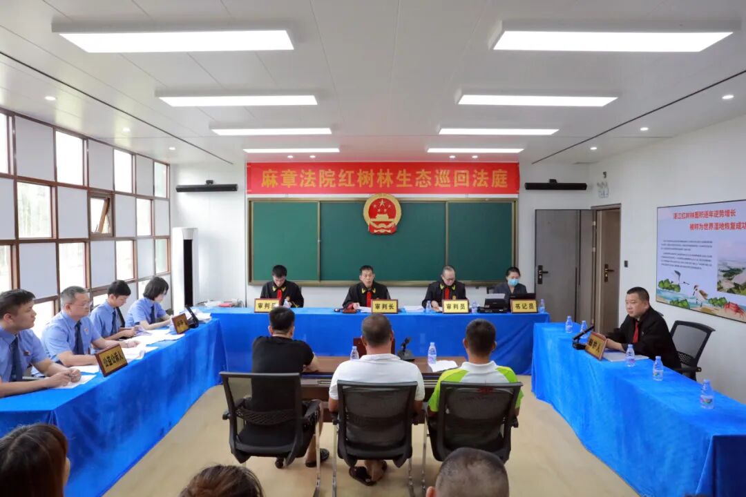 麻章法院在红树林生态巡回法庭开庭审理“以碳代偿”认购碳汇替代性修复红树林生态案