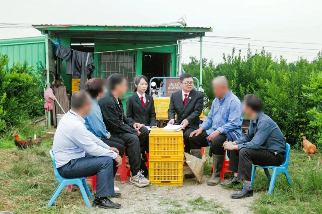 法官在柑园为双方当事人释法说理