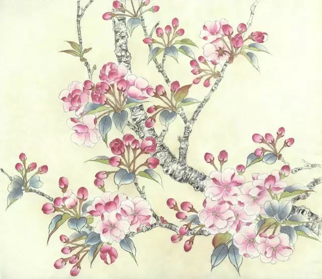 海棠花树怎么画图片