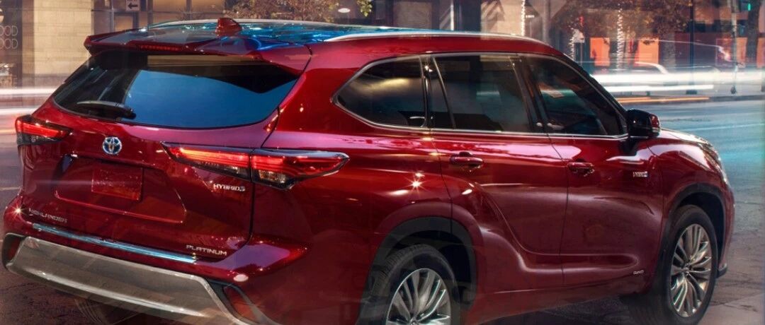 混动后浪能否撼动双寡头格局