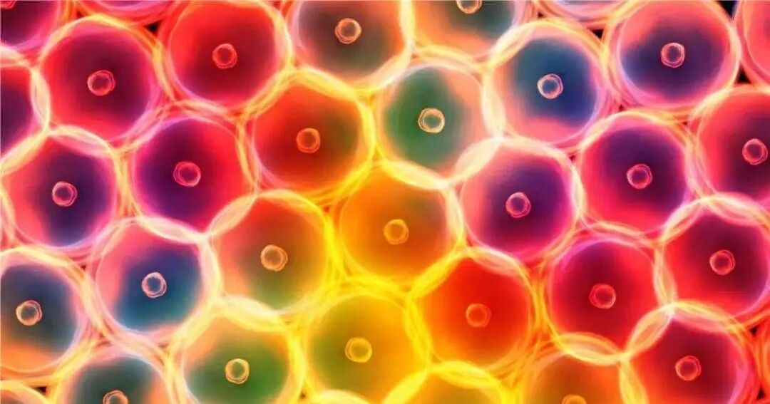 什么波治疗仪高电位治疗仪功能——高周波_https://www.jmylbn.com_新闻资讯_第3张