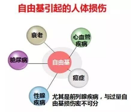 什么波治疗仪高电位治疗仪功能——高周波_https://www.jmylbn.com_新闻资讯_第13张