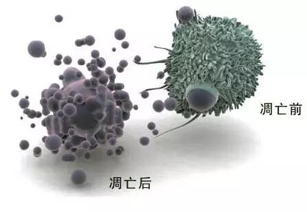 什么波治疗仪高电位治疗仪功能——高周波_https://www.jmylbn.com_新闻资讯_第4张