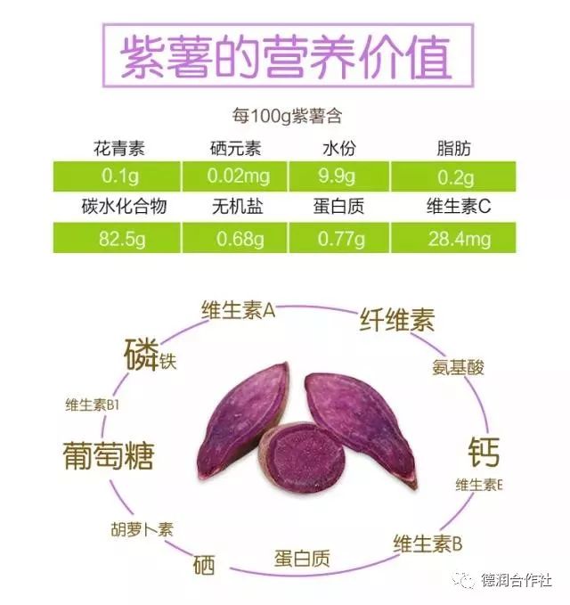 紫树图片和吃的好处图片