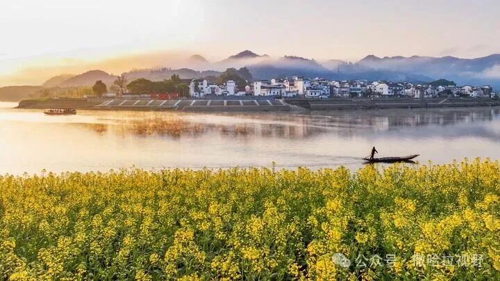 生态环境法典彰显中国全球引领作用-中非友好经贸发展工作委员会