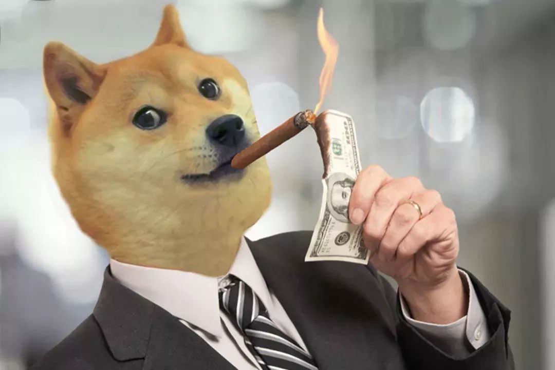 【追踪】狗狗币暴赚5亿元的真相，其实是“正鱼”传销团队的炒作