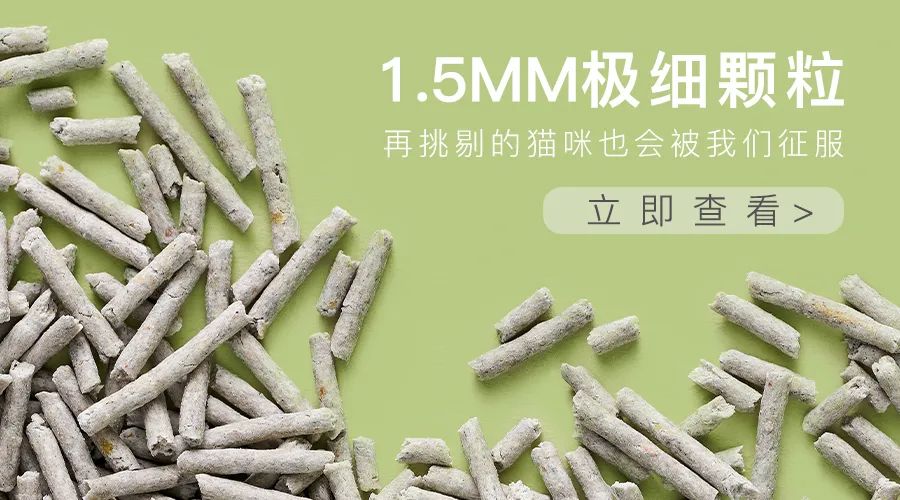 哇！這個鏟屎官有點剛，為愛貓挑戰整個行業？ 寵物 第22張