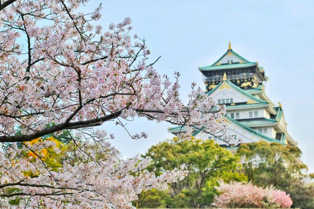 老齡化最嚴(yán)重的國家，亞洲小國居首