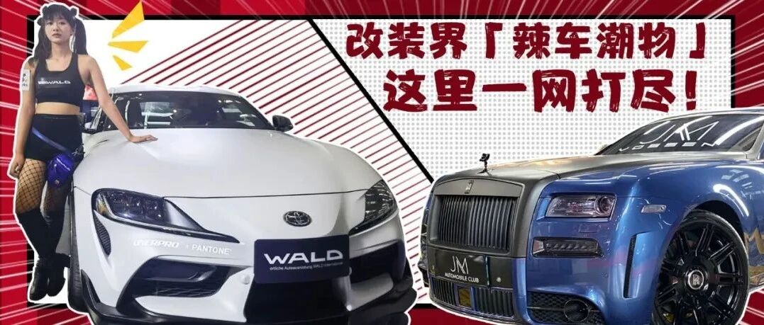 『独家双料放送』丰田Supra宽体改装风靡全场！身价600w劳斯莱斯居然这样玩？