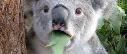 女子7年来逐渐发胖，误以为内分泌紊乱，竟是得了肺癌！医生提醒：疲劳、变胖、腹泻都可能是征兆