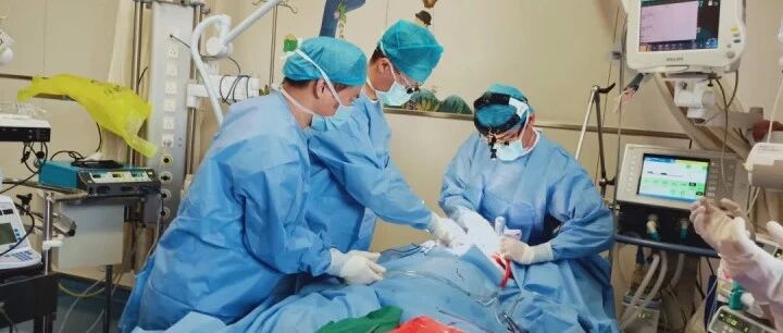 8岁男孩开学前突发爆发性心肌炎，ECMO紧急抢救6天6夜挽回性命！孩子出现这些症状，家长一定要重视