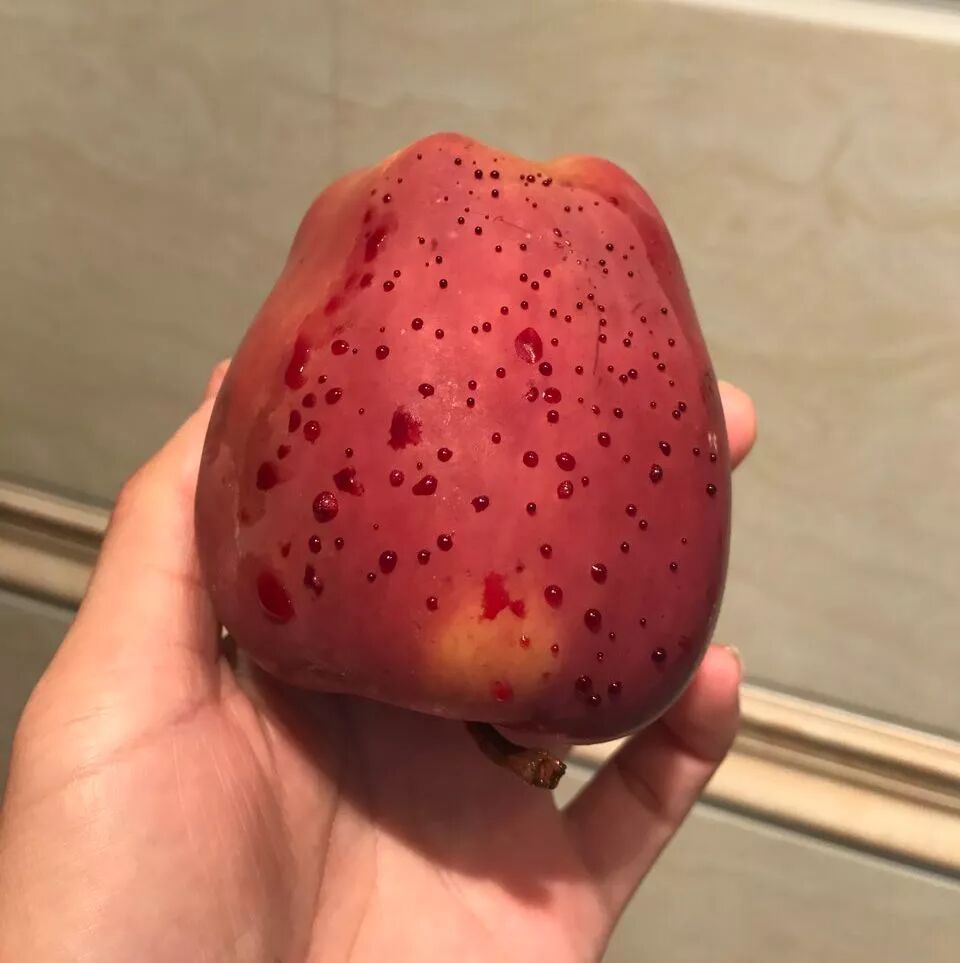 吓懵！热水竟然洗出血苹果，这到底是咋回事