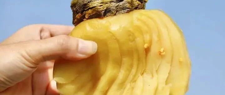 那一撮大头菜独有的酸味，是钓出这碗黄鱼面鲜味的终极杀手！上海杭州之间，有座小城，可盐可甜