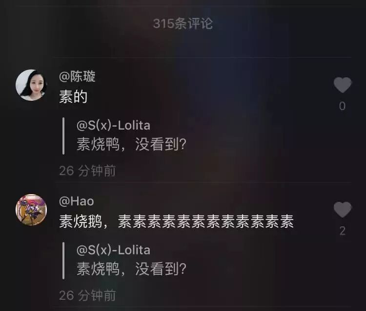 杭州素烧鹅上抖音点赞破万！网友都在问：素烧鹅里为什么没有鸭肉？（组图） - 14