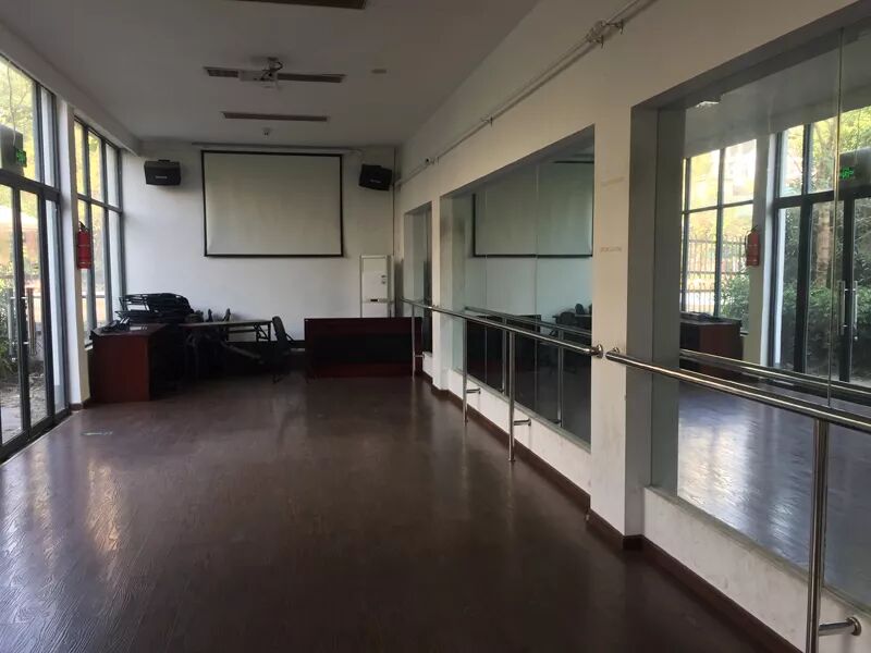男子砸了廣場(chǎng)舞音響就跑 大媽舞照跳：音響有的是