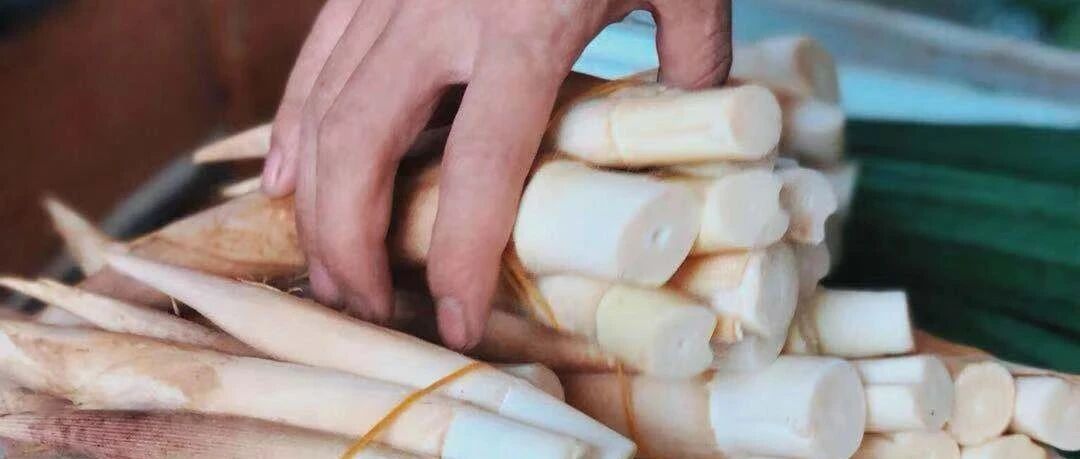 杭州人到底有多爱吃笋？！有人烧了碗杭式炒笋，要去赢10万元大奖……