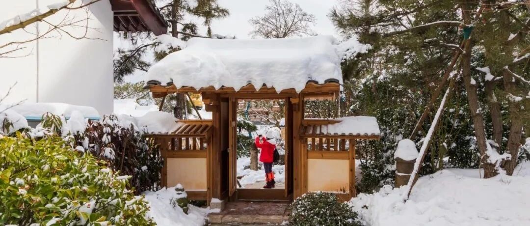 明天杭州又有雨雪来袭，中雪、大雪，局部暴雪！