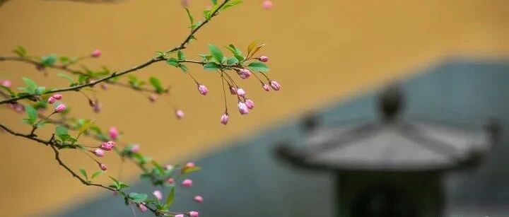 隐于三台山下的秘境古刹，我猜你就算去过，但一定不知道这么多故事！