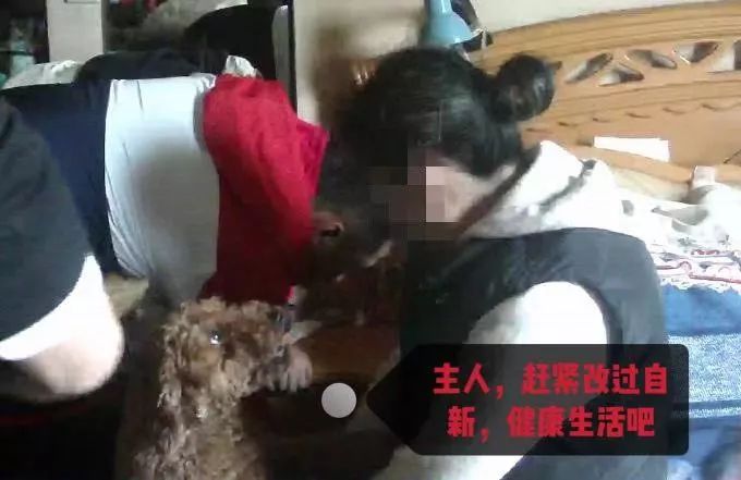 一條養了9年的泰迪把女主人「賣」了！杭州民警大讚：寶寶，幹得漂亮 寵物 第5張