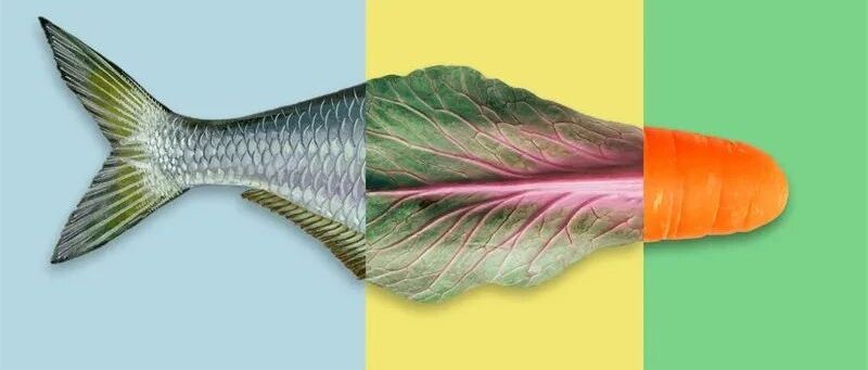 秋季作息向鸡学习，荤菜首选“有鳞的鱼”！一种10个成年人3个就有的病，目前还没有一致公认的有效药物，做好这几件事很要紧