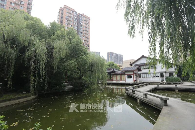 |警方通报：杭州失踪19天女子已遇害 丈夫有重大嫌疑已被采取强制措施