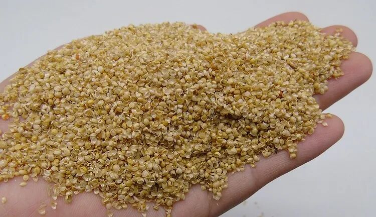 中国传统酿酒工艺中为什么要加入大量稻壳等填充物料？