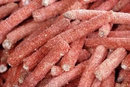 中国传统酿酒工艺中为什么要加入大量稻壳等填充物料？