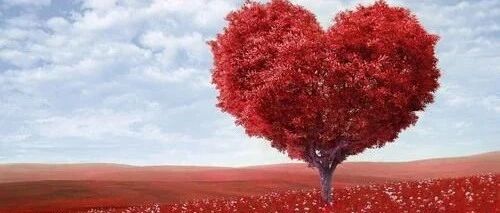 路漫漫其修远，如何打好调脂治疗的持久战？