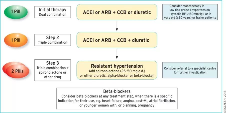 【ESC2018指南】高血壓指南藥物治療更新要點 健康 第11張