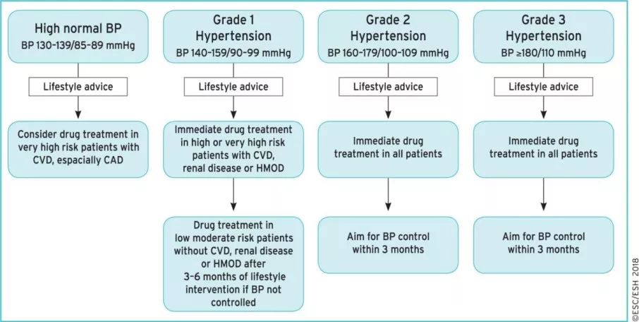 【ESC2018指南】高血壓指南藥物治療更新要點 健康 第4張