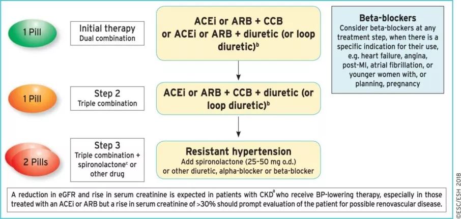 【ESC2018指南】高血壓指南藥物治療更新要點 健康 第12張