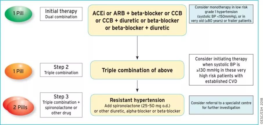 【ESC2018指南】高血壓指南藥物治療更新要點 健康 第13張